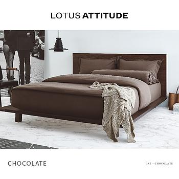 Attitude Bed Sheet Set 3 pcs- Chocolate(106 * 198)cm Brand:Lotus
